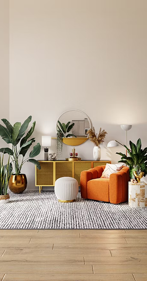 Modern cozy living room decor